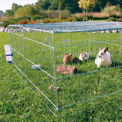 Rabbit &amp; Bunny Cages You'll Love | Wayfair